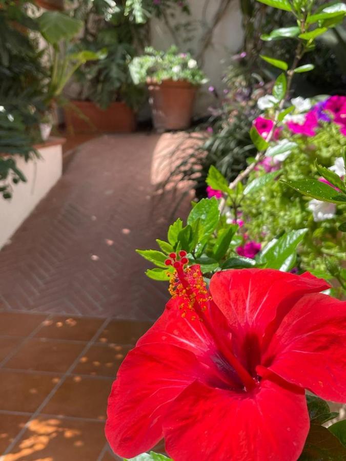 Bed and Breakfast Piccolo Bed Procida Esterno foto