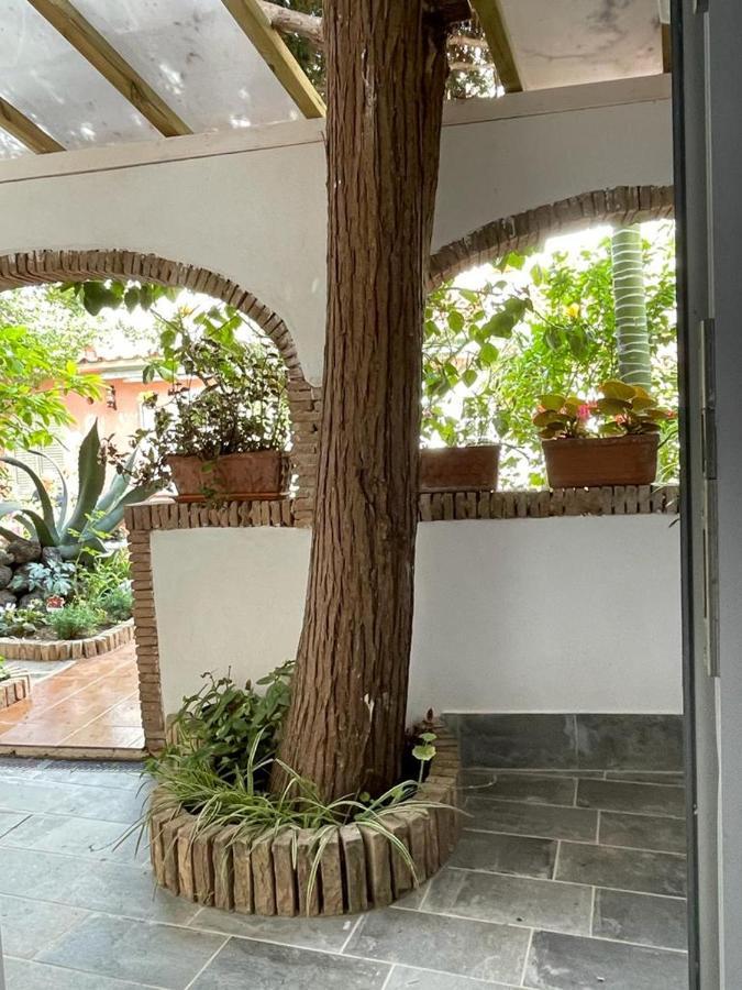 Bed and Breakfast Piccolo Bed Procida Esterno foto